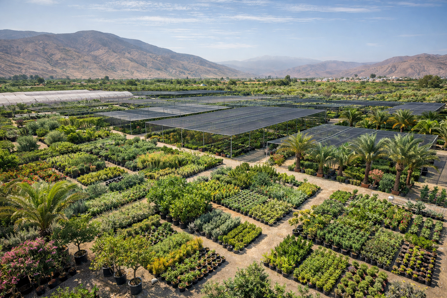 Pepiniere-Oued-Souss